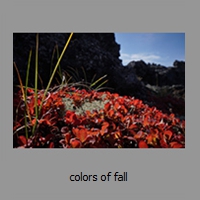 colors of fall